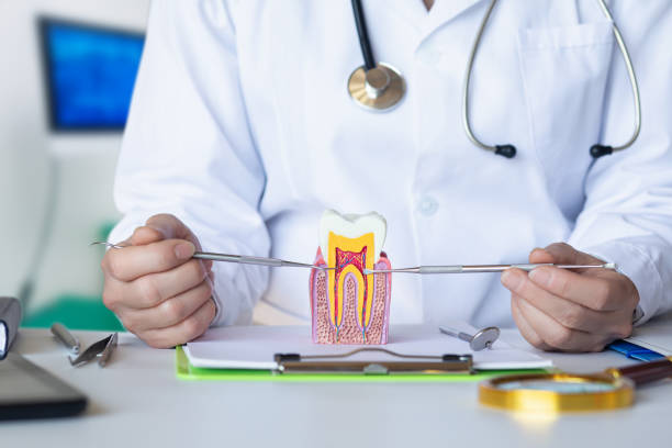 Best Cosmetic Emergency Dentistry in Teutopolis, IL